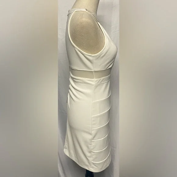 Windsor gorgeous bodycon dress - Picture 5 of 13